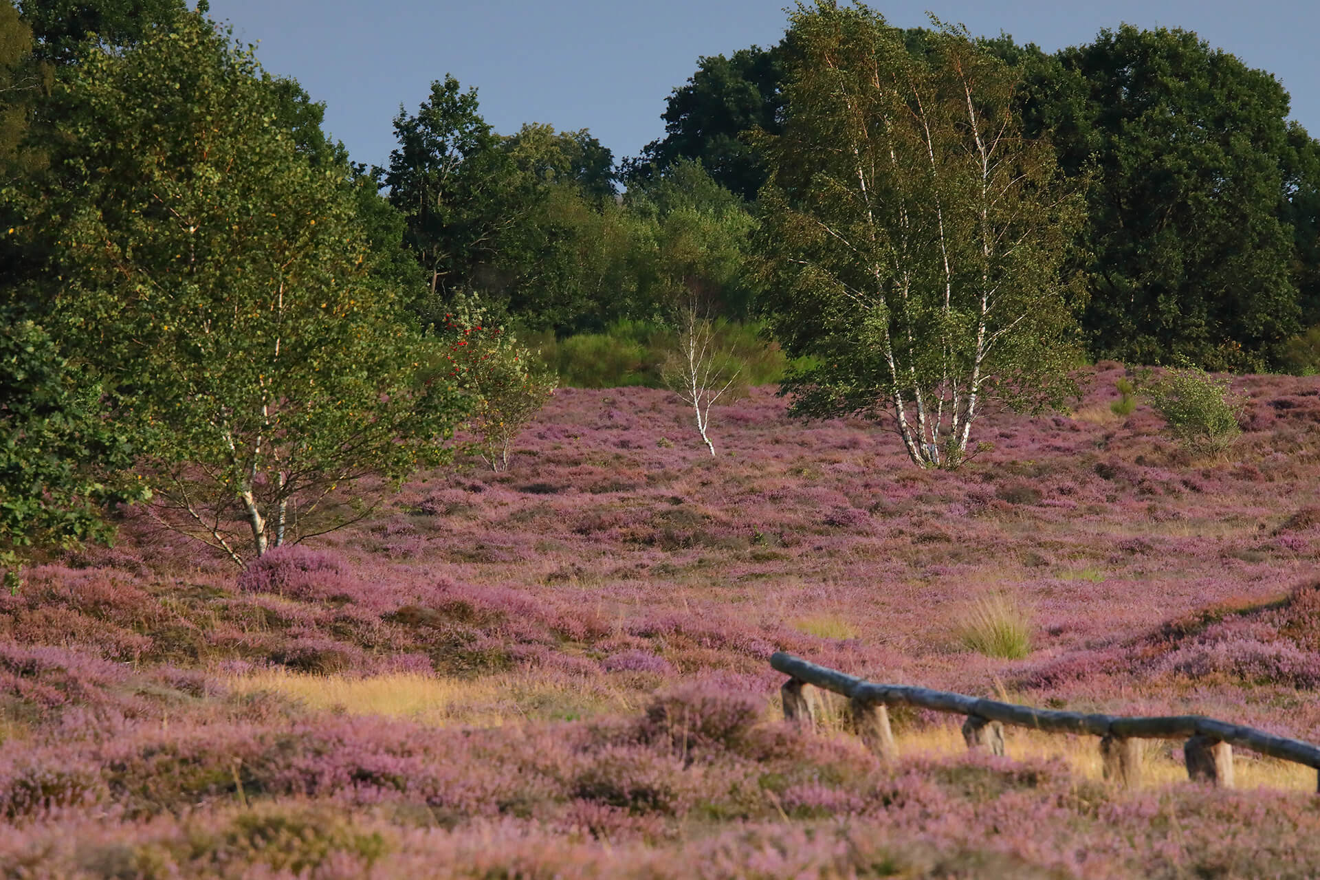 gut-altona-sehenswuerdigkeiten