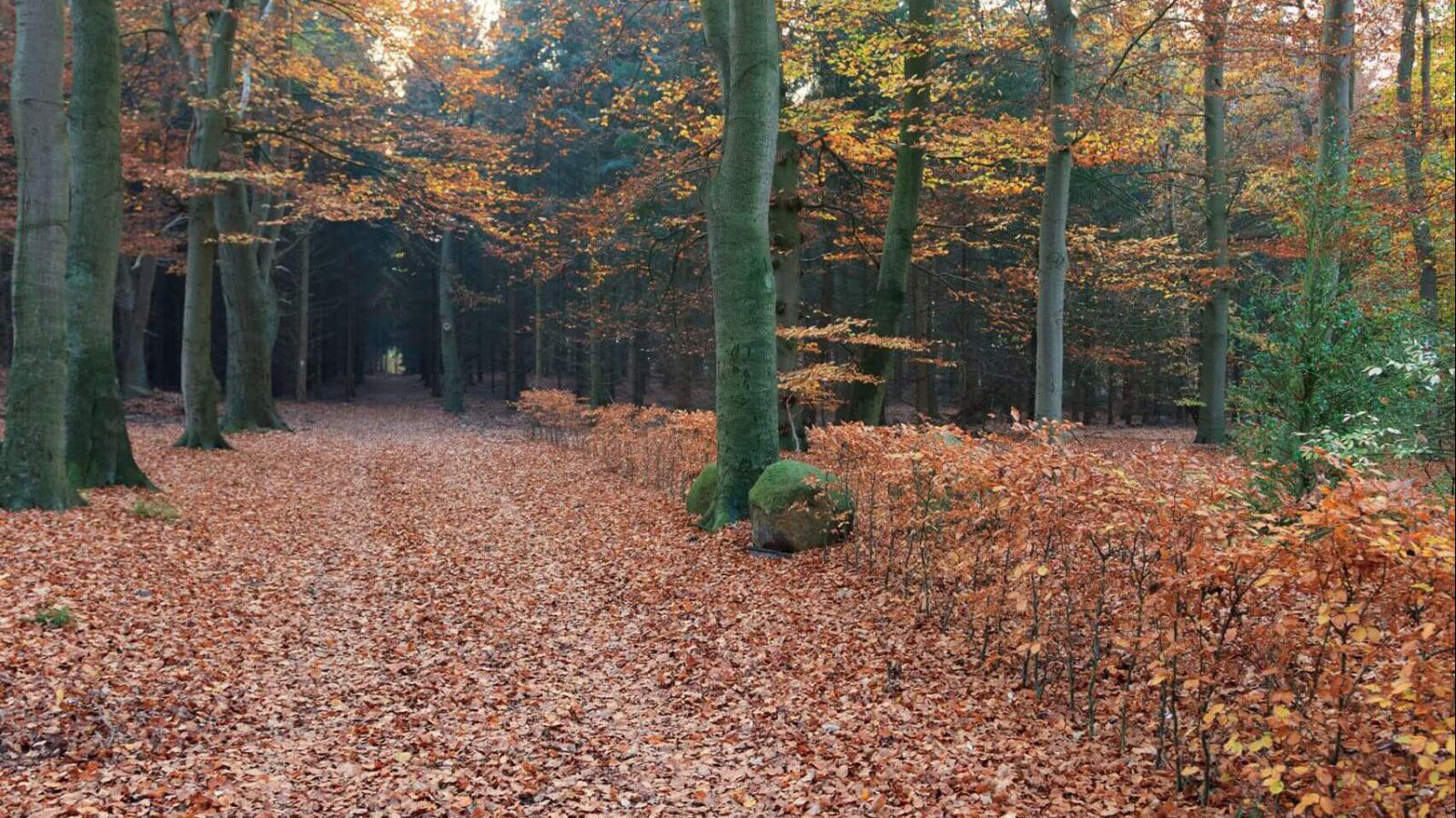 gut-altona-wanderwege